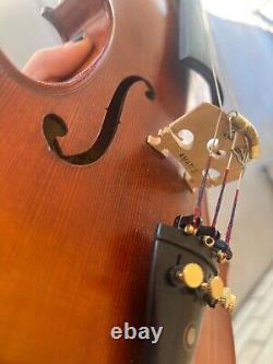 Amati Violin AFV-017 4/4 Full Size (Student Package Deal)